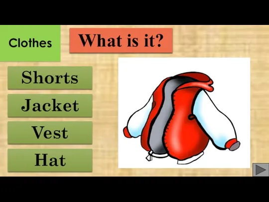 Vest Shorts Hat Jacket What is it? Clothes