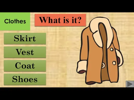 Vest Skirt Shoes Coat What is it? Clothes