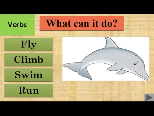 Run Fly Climb Swim What can it do? Verbs