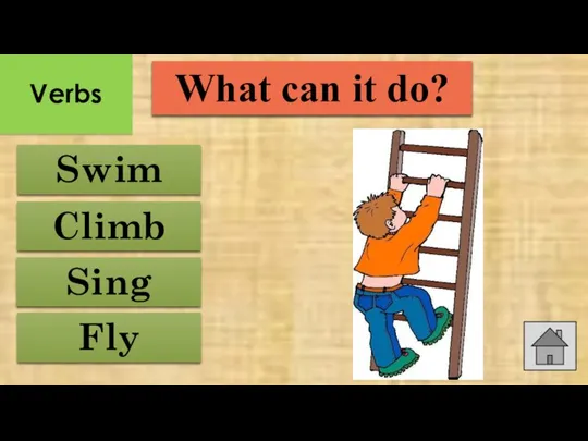 Sing Fly Swim Climb What can it do? Verbs
