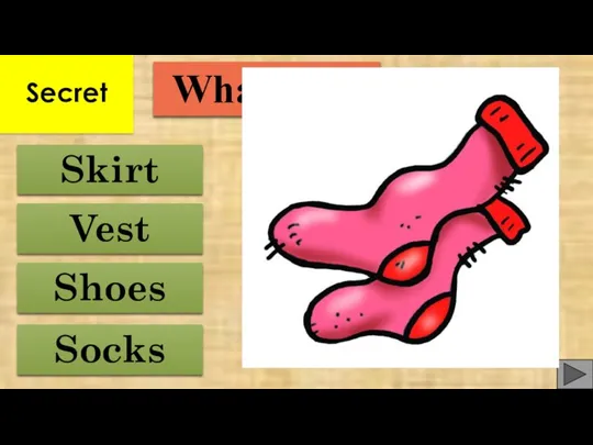 Shoes Vest Skirt Socks What is it? Secret