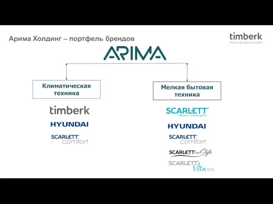 Арима Холдинг – портфель брендов Климатическая техника Мелкая бытовая техника