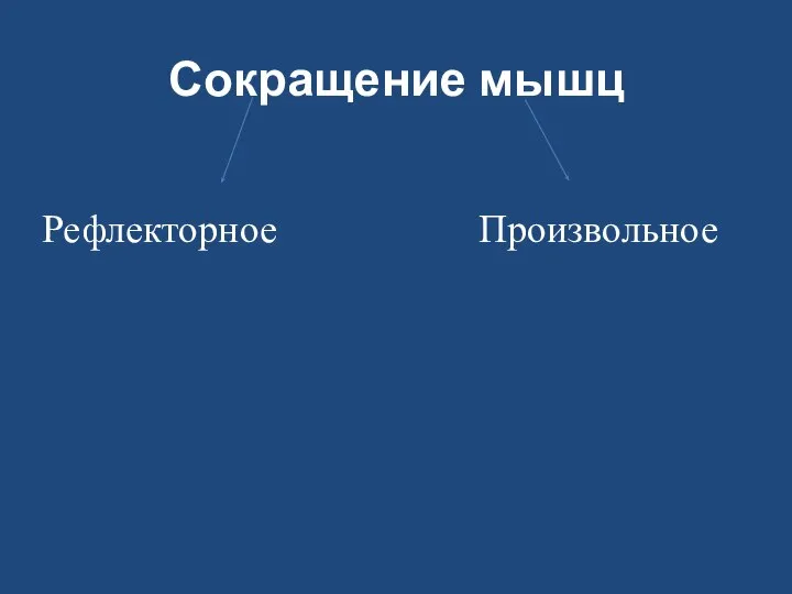 Сокращение мышц Рефлекторное Произвольное