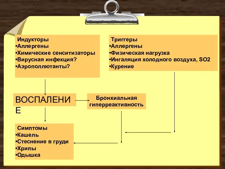 Триггеры Аллергены Физическая нагрузка Ингаляция холодного воздуха, SO2 Курение Индукторы Аллергены Химические