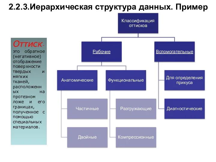 2.2.3.Иерархическая структура данных. Пример Оттиск-это обратное (негативное) отображение поверхности твердых и мягких