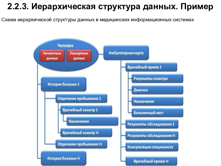 2.2.3. Иерархическая структура данных. Пример Схема иерархической структуры данных в медицинских информационных системах
