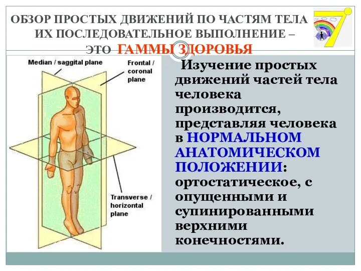 ОБЗОР ПРОСТЫХ ДВИЖЕНИЙ ПО ЧАСТЯМ ТЕЛА ИХ ПОСЛЕДОВАТЕЛЬНОЕ ВЫПОЛНЕНИЕ – ЭТО ГАММЫ