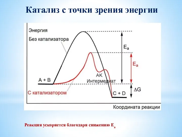 Катализ с точки зрения энергии Реакция ускоряется благодаря снижению Еа