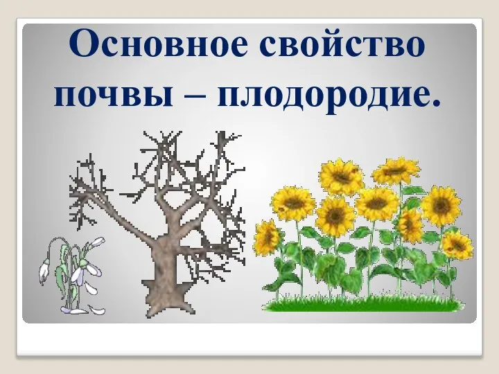 Основное свойство почвы – плодородие.