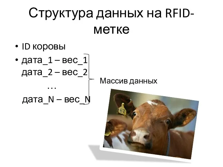 Структура данных на RFID-метке ID коровы дата_1 – вес_1 дата_2 – вес_2