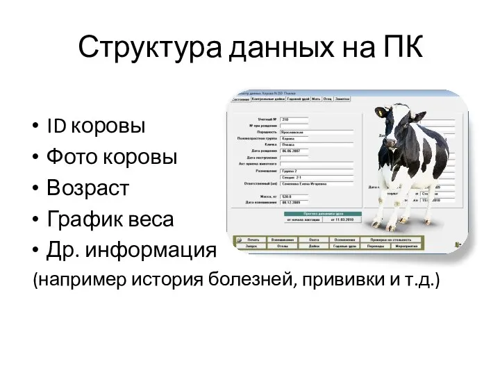 Структура данных на ПК ID коровы Фото коровы Возраст График веса Др.