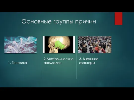 Основные группы причин 1. Генетика 2.Анатомические аномалии 3. Внешние факторы