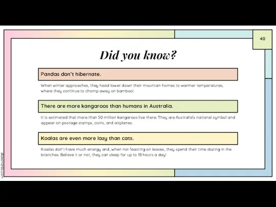 Did you know? Pandas don’t hibernate. It is estimated that more than