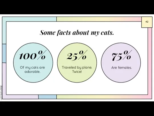 Some facts about my cats. Traveled by plane. Twice! Of my cats