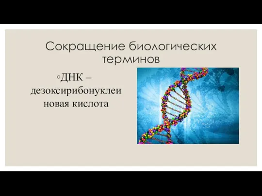 Сокращение биологических терминов ДНК – дезоксирибонуклеиновая кислота