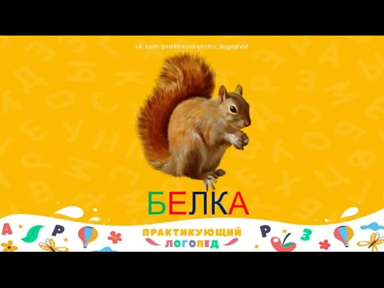 БЕЛКА