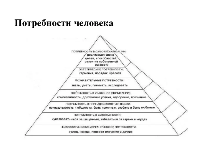 Потребности человека