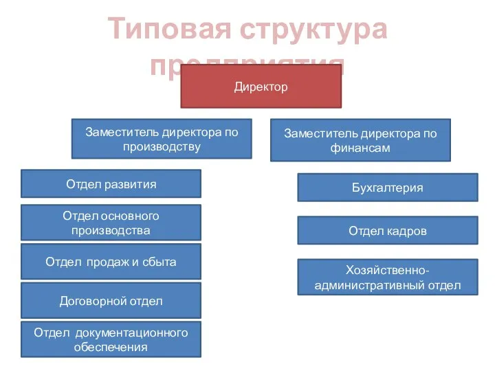 Типовая структура предприятия Директор Заместитель директора по производству Заместитель директора по финансам