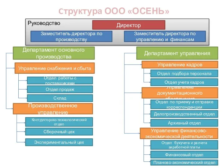 Руководство Cтруктура ООО «ОСЕНЬ» Директор Заместитель директора по производству Заместитель директора по