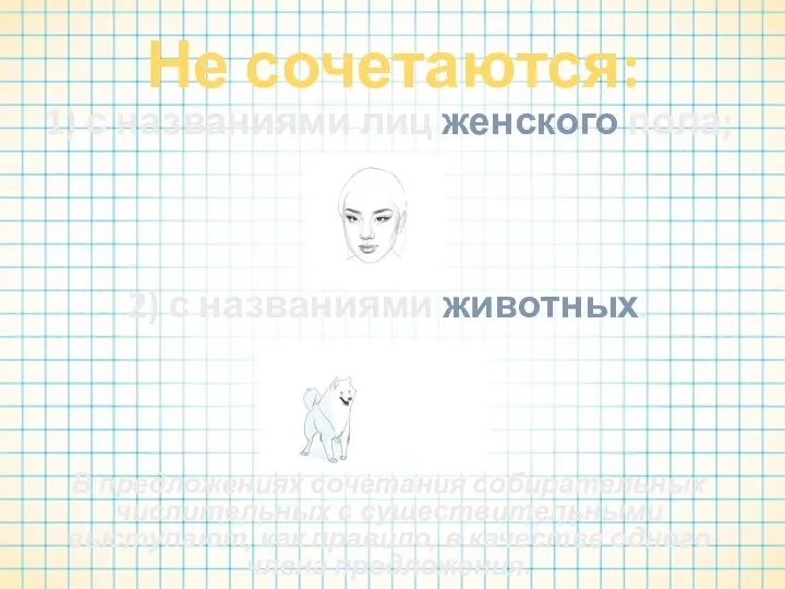 Не сочетаются: 1) с названиями лиц женского пола; 2) с названиями животных.