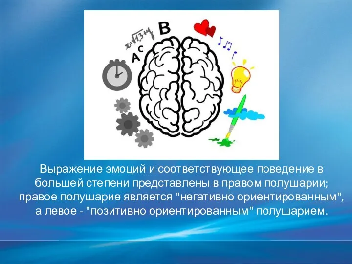 Выражение эмоций и соответствующее поведение в большей степени представлены в правом полушарии;