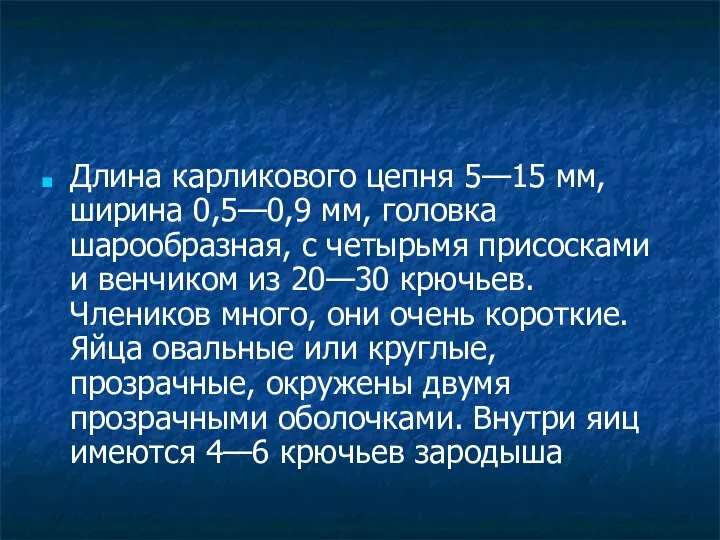 Длина карликового цепня 5—15 мм, ширина 0,5—0,9 мм, головка шарообразная, с четырьмя