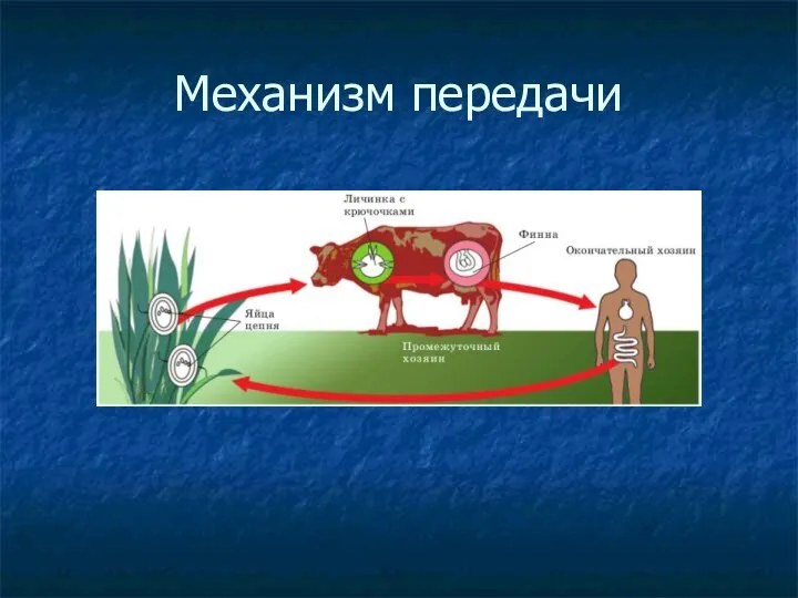 Механизм передачи