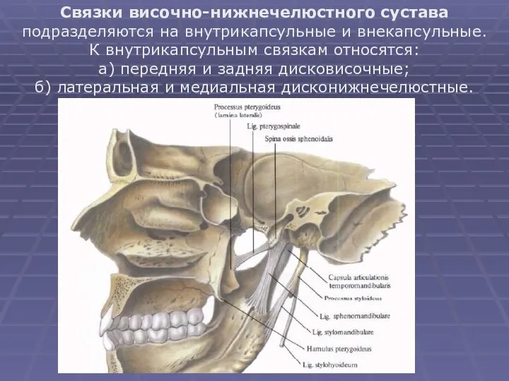Связки височно-нижнечелюстного сустава подразделяются на внутрикапсульные и внекапсульные. К внутрикапсульным связкам относятся: