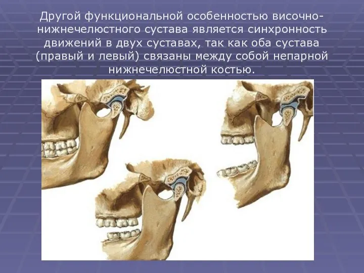 Другой функциональной особенностью височно-нижнечелюстного сустава является синхронность движений в двух суставах, так