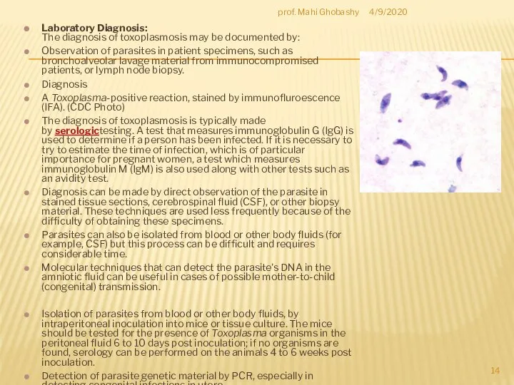 Laboratory Diagnosis: The diagnosis of toxoplasmosis may be documented by: Observation of