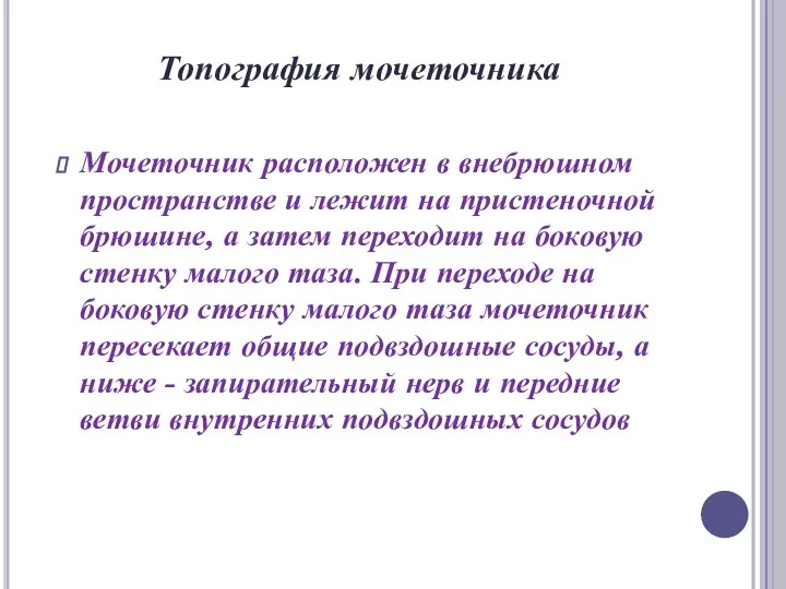 Топография мочеточника Мочеточник расположен в внебрюшном пространстве и лежит на пристеночной брюшине,