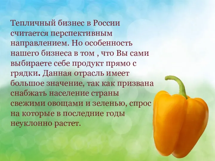 Тепличный бизнес в России считается перспективным направлением. Но особенность нашего бизнеса в