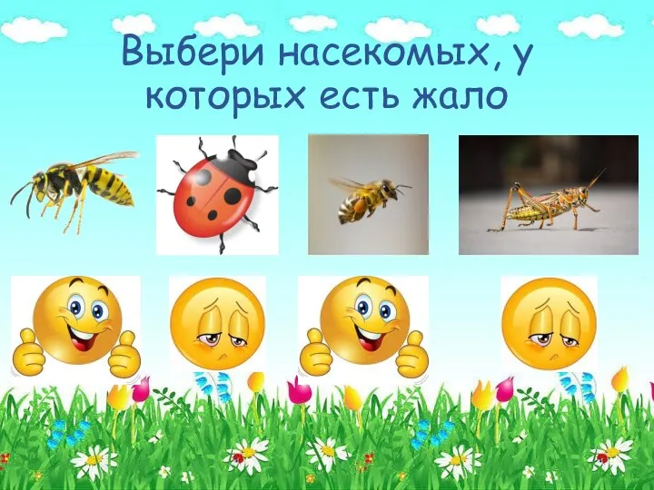 Выбери насекомых, у которых есть жало