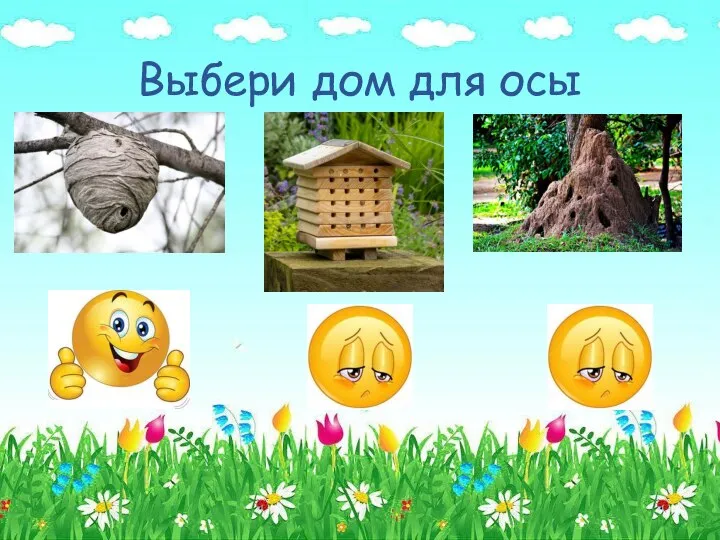 Выбери дом для осы