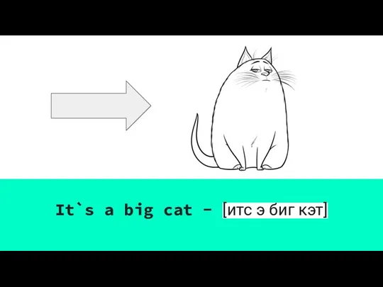 It`s a big cat - [итс э биг кэт]