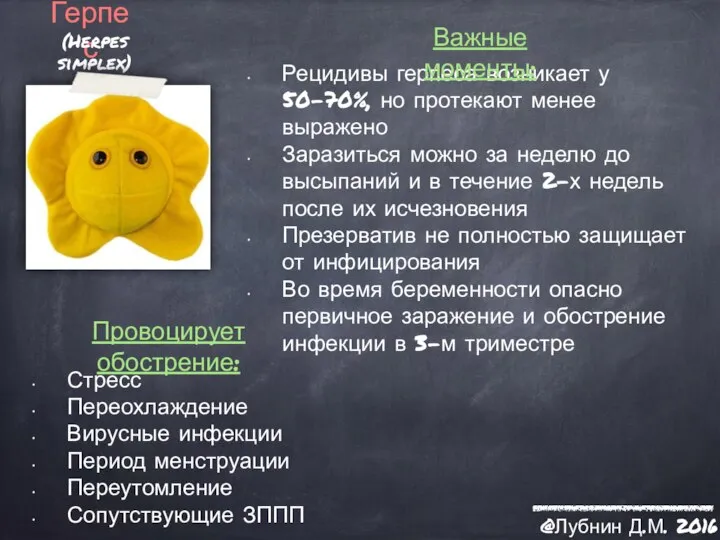 Герпес (Herpes simplex) Рецидивы герпеса возникает у 50-70%, но протекают менее выражено