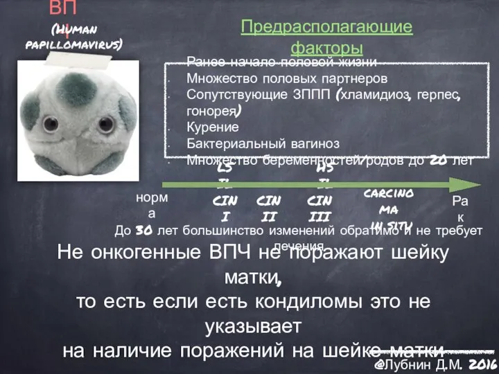 ВПЧ (Human papillomavirus) Предрасполагающие факторы норма CIN I CIN II CIN III