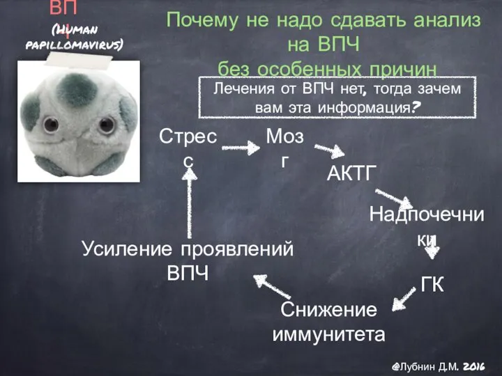 ВПЧ (Human papillomavirus) Почему не надо сдавать анализ на ВПЧ без особенных