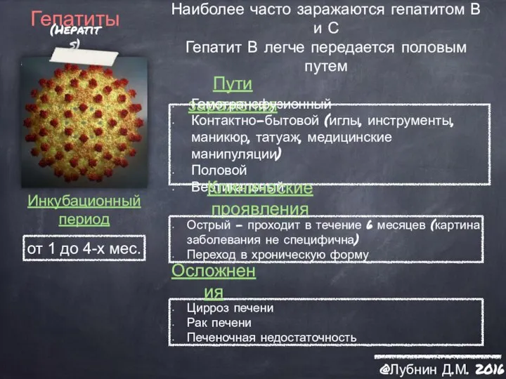 Гепатиты (Hepatits) Пути заражения Инкубационный период Клинические проявления Наиболее часто заражаются гепатитом