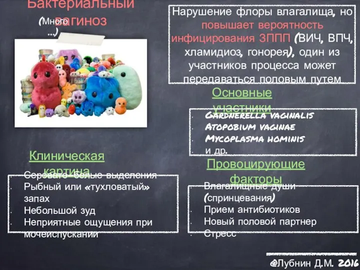 Бактериальный вагиноз (Много…) Основные участники Клиническая картина Провоцирующие факторы @Лубнин Д.М. 2016