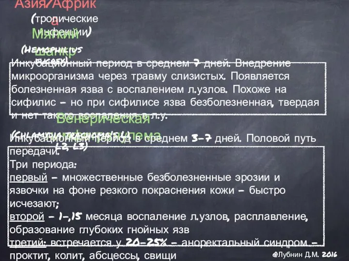 Азия/Африка (тропические инфекции) Мягкий шанкр (Hemophilius ducrey) Венерическая лимфогранулема (Chlamydia trachoma's L1,