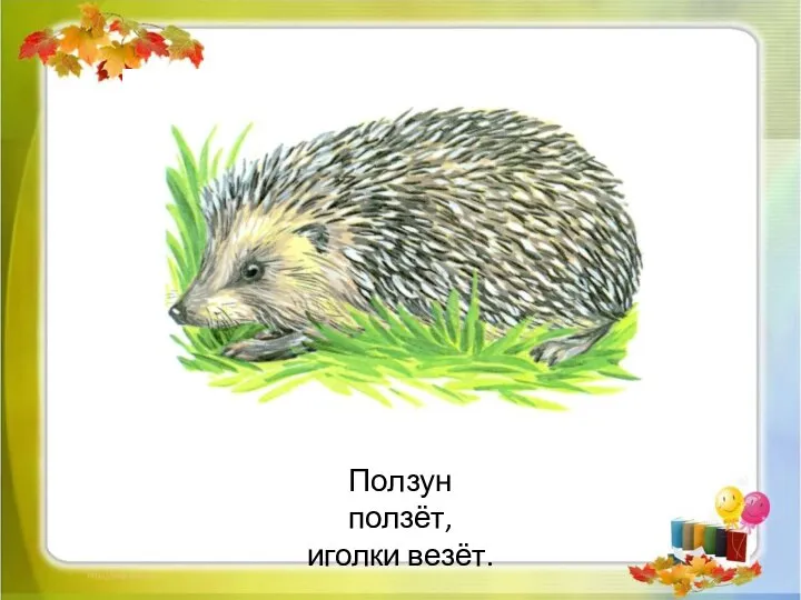 Ползун ползёт, иголки везёт.