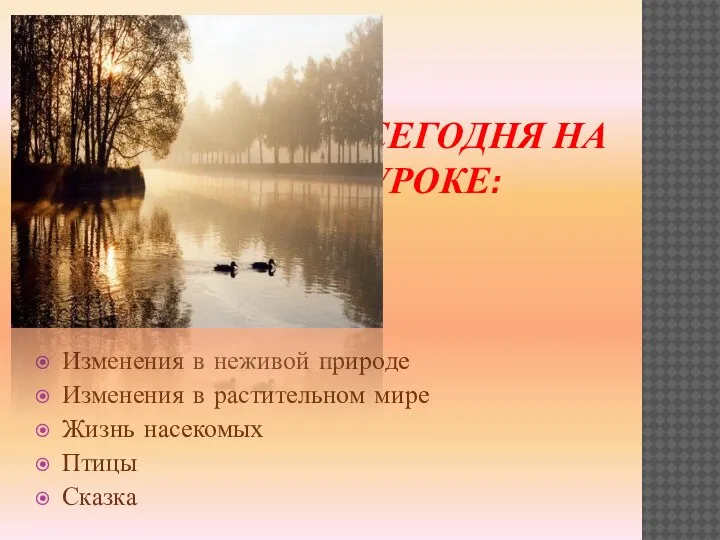 СЕГОДНЯ НА УРОКЕ: Изменения в неживой природе Изменения в растительном мире Жизнь насекомых Птицы Сказка