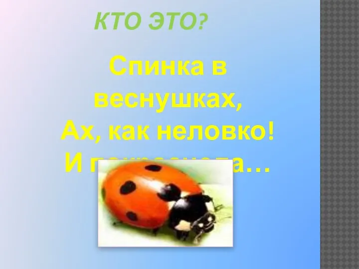 КТО ЭТО? Спинка в веснушках, Ах, как неловко! И покраснела…