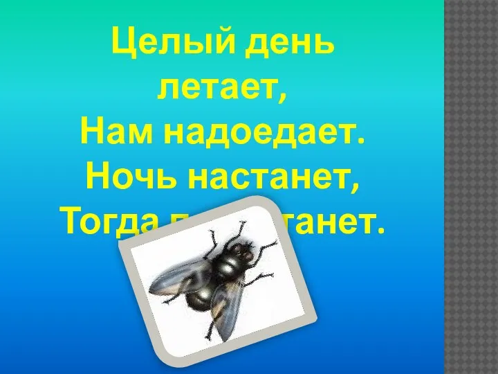 Целый день летает, Нам надоедает. Ночь настанет, Тогда перестанет.