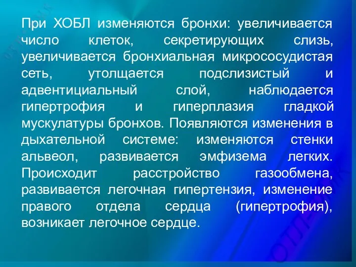 При ХОБЛ изменяются бронхи: увеличивается число клеток, секретирующих слизь, увеличивается бронхиальная микрососудистая