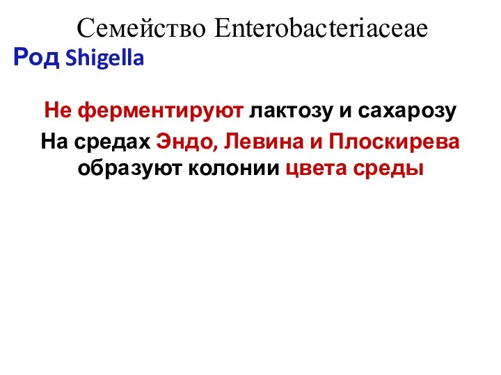 Семейство Enterobacteriaceae Род Shigella Не ферментируют лактозу и сахарозу На средах Эндо,
