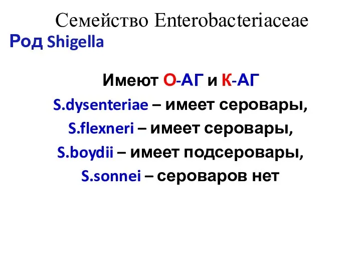 Семейство Enterobacteriaceae Род Shigella Имеют О-АГ и К-АГ S.dysenteriae – имеет серовары,