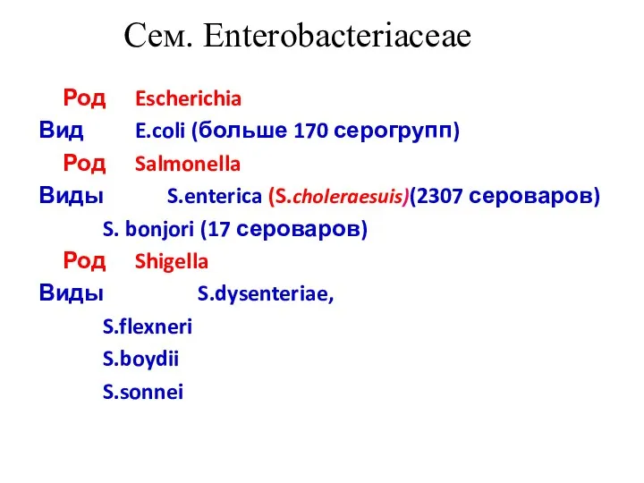 Сем. Enterobacteriaceae Род Escherichia Вид E.coli (больше 170 серогрупп) Род Salmonella Виды