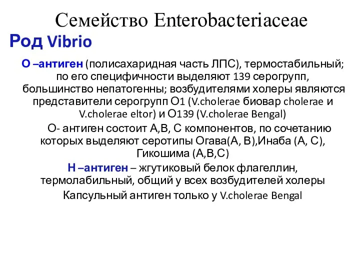Семейство Enterobacteriaceae Род Vibrio О –антиген (полисахаридная часть ЛПС), термостабильный; по его
